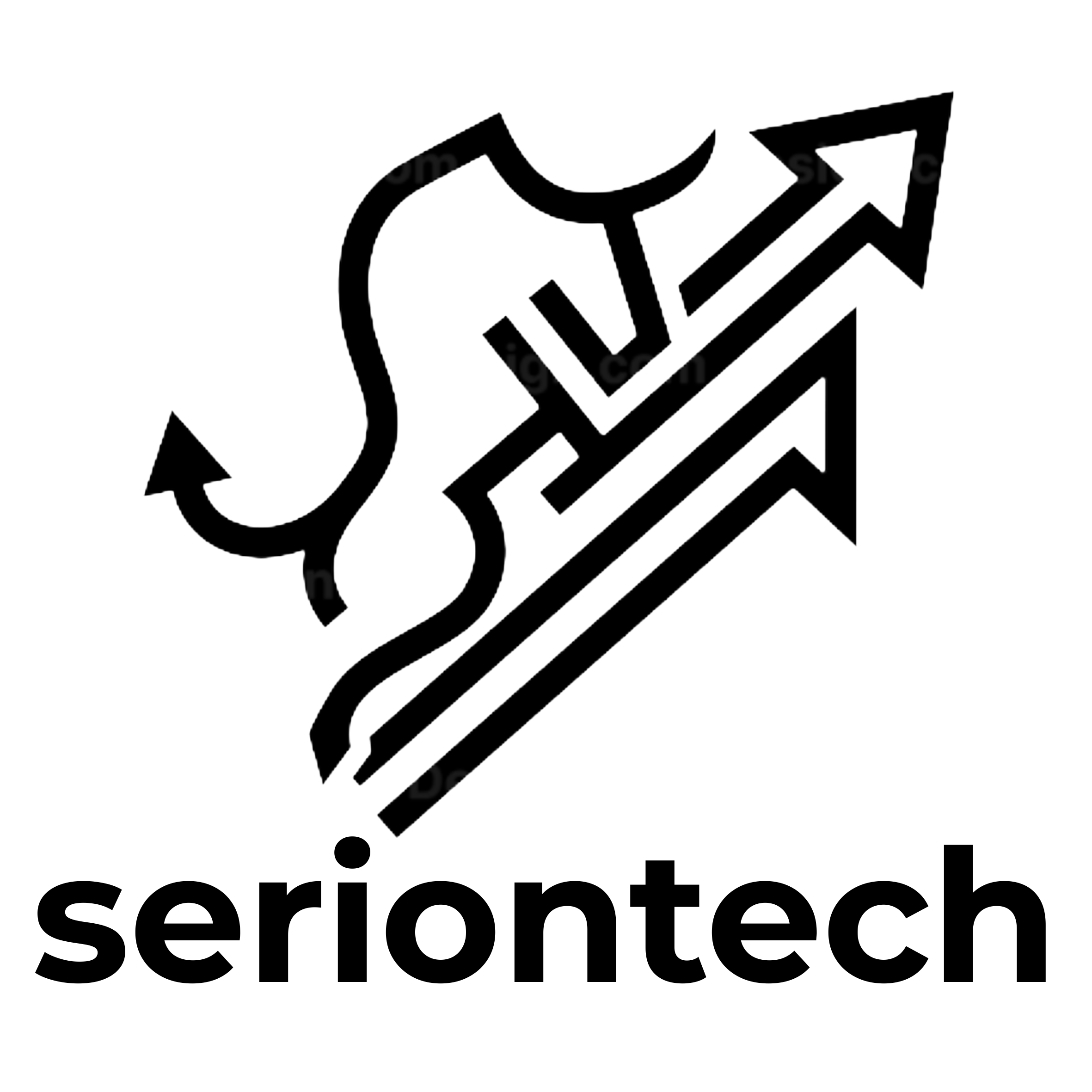 Serion Logo